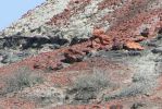 PICTURES/Bisti Badlands in De-Na-Zin Wilderness/t_First Glimpse6.JPG